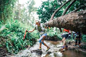 BIB: 
                            <button type="button" onclick="openModal(25374805)" class="btn btn-primary btn-sm float-right btn-popup" data-toggle="modal" data-target=".modal-high-quality">
                        <i class="fas fa-shopping-cart"></i> Add to Cart
                    </button>
                                            <button type="button" onclick="isThisMe(25374805, true)" class="btn btn-success btn-sm float-right btn-popup btn-isme hidden" data-toggle="tooltip" data-placement="bottom" title="นี่คือรูปของคุณใช่ไหม คลิกที่นี่เพื่อเอาเข้าอัลบั้ม">
                        <i class="fas fa-plus"></i> Add to album
                    </button>
                    <button type="button" onclick="isThisMe(25374805, false)" class="btn btn-warning btn-sm float-right btn-popup btn-isnotme hidden">
                        <i class="fas fa-ban"></i> Remove from album
                    </button>